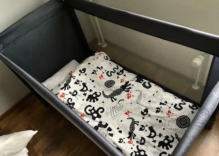 公寓 Lapland Quality 罗瓦涅米